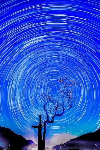 예산을 담는 사람들, 제17회 사진정...