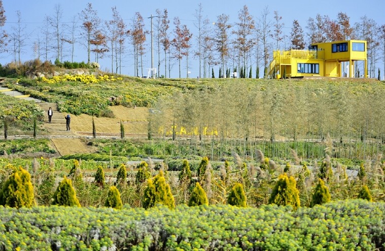 신안군 ‘꽃길 따라 걸으면 황금빛 행...