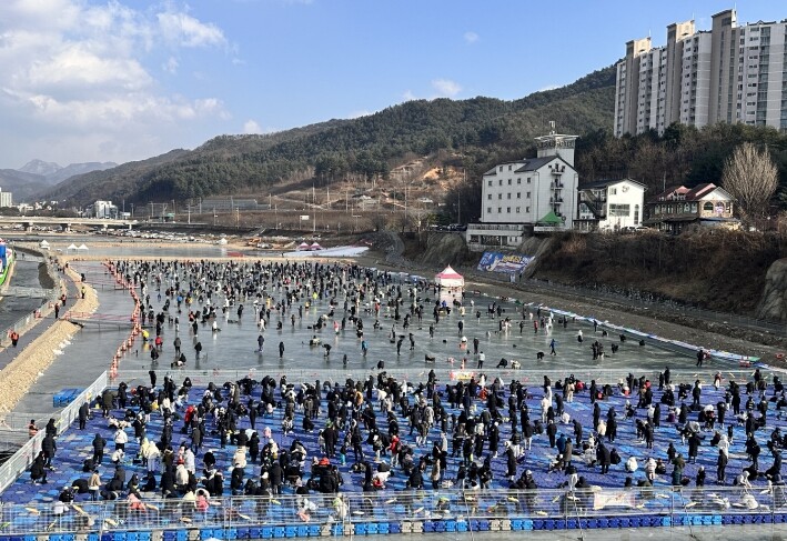홍천 인삼 송어, 겨울축제 중심에 서...