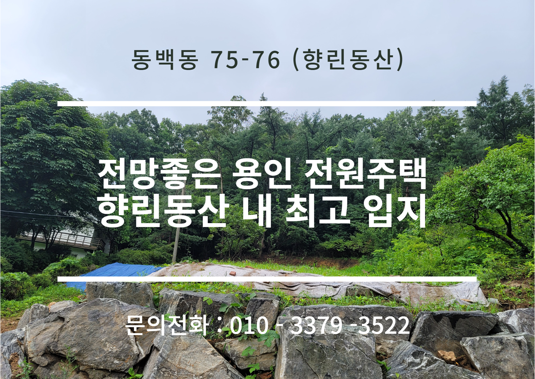 동백동