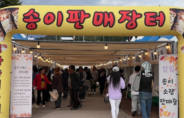 봉화송이축제, 화려한 불꽃으로 4일간...
